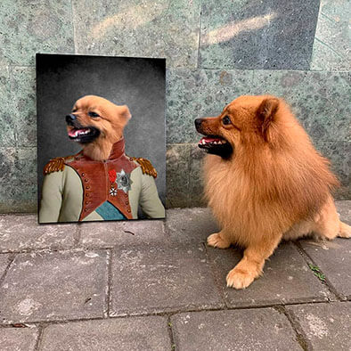 Custom Pet Gifts For Cat & Dog Lovers
– Lord Of The Pets