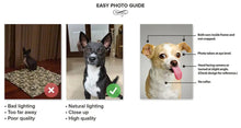 Load image into Gallery viewer, Dame Difudo - Royalty & Renaissance Inspired Custom Pet Portrait Canvas
