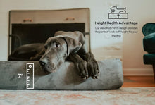 Load image into Gallery viewer, Barker Beds Orthopedic Dog Bed - 7" Pillow Top XL Size (52 X 36 X 11) - Luxury Washable Large Dog Bed with Headrest - Memory Foam Mattress for Big Dogs (Chocolate)