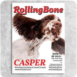 Rolling Bone Magazine Cover Featuring a Dog with imaginary article titles- Personalized Gift for Dog Owners