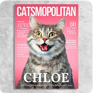 Catsmopolitan Magazine Cover Featuring a Cat with imaginary article titles- Personalized Gift for Cat Owners