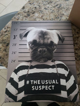Load image into Gallery viewer, The Usual Suspect - Gangster Mugshot Inspired Custom Pet Portrait Canvas