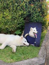 Load image into Gallery viewer, Captain Quirk - Star Trek Inspired Custom Pet Portrait Canvas
