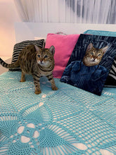 Load image into Gallery viewer, Captain Quirk - Star Trek Inspired Custom Pet Portrait Canvas