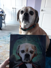 Load image into Gallery viewer, Count Meowt - Count Dracula Inspired Custom Pet Portrait Canvas