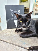 Load image into Gallery viewer, The Dogfather - Godfather, Gangster & Mafia Inspired Custom Pet Portrait Canvas