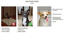 Load image into Gallery viewer, Mister Spook - Star Trek Inspired Custom Pet Portrait Canvas