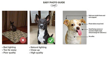 Load image into Gallery viewer, Dappers - Art Deco Inspired Custom Pet Portrait Canvas