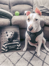 Load image into Gallery viewer, Captain Quirk - Star Trek Inspired Custom Pet Portrait Canvas