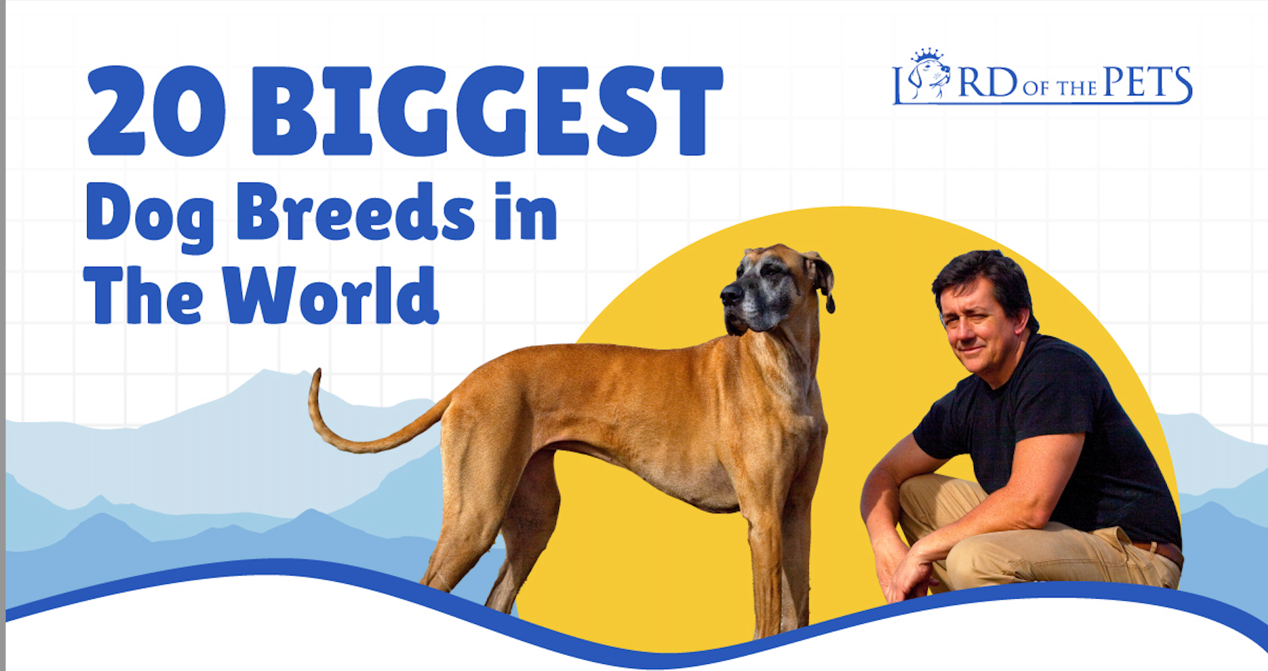 Majestic Giants 20 Biggest Dog Breeds in The World Lord Of The Pets