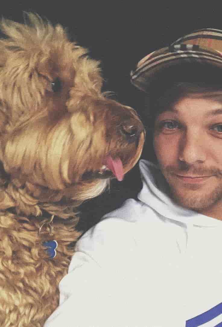 Louis Tomlinson Dogs – Lord Of The Pets