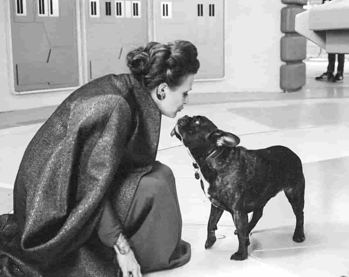 Carrie Fisher's Dog Gary – Lord Of The Pets