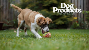 7 Unique Products That Every Dog Owner Will Love