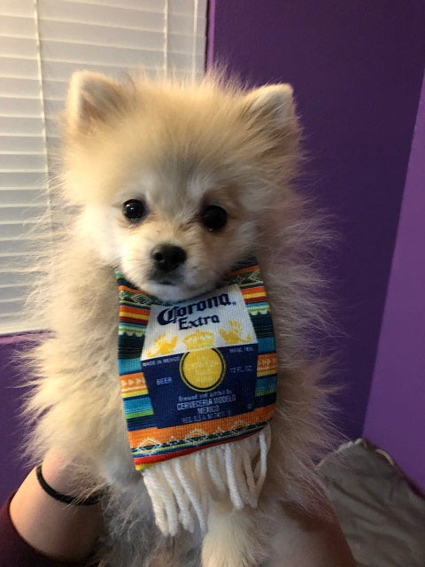 Sssniperwolf Dogs – Lord Of The Pets