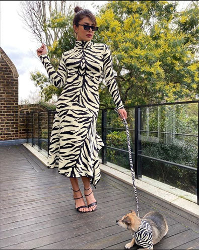 THE PAWFECT MATCH: THE CELEBRITY PET EDITION