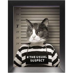 The Usual Suspect - Gangster Mugshot Inspired Custom Pet Portrait Framed Satin Paper Print