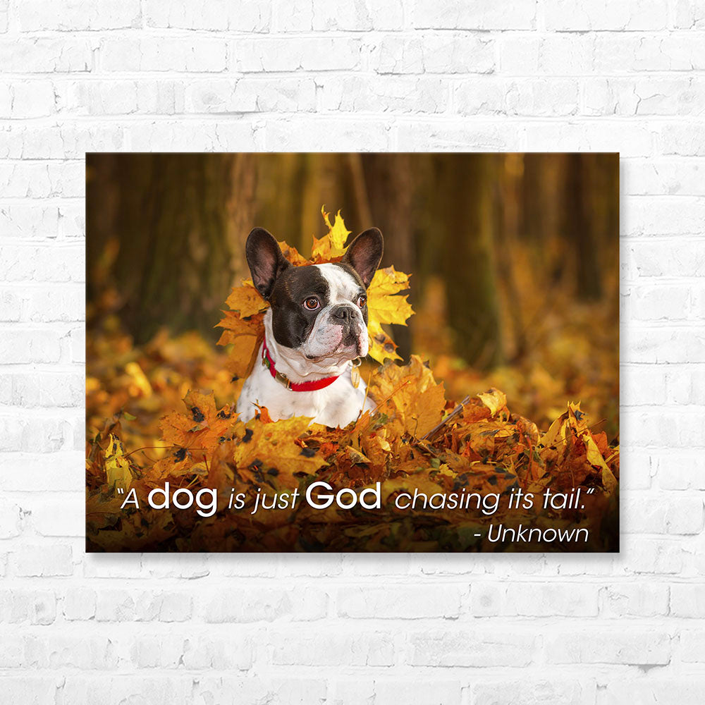 Dog Quote Canvas Wrap - “A dog is just God chasing...