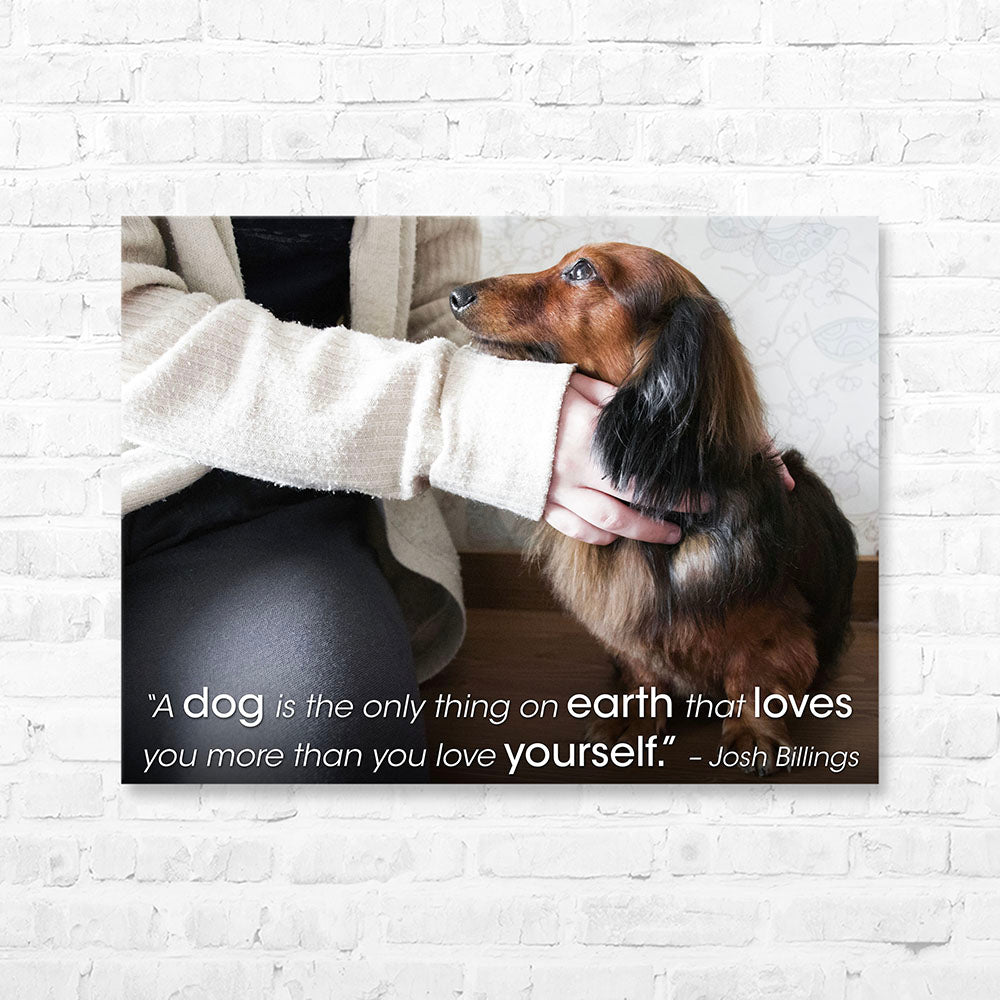 Dog Quote Canvas Wrap - “A dog is the only thing on earth that...