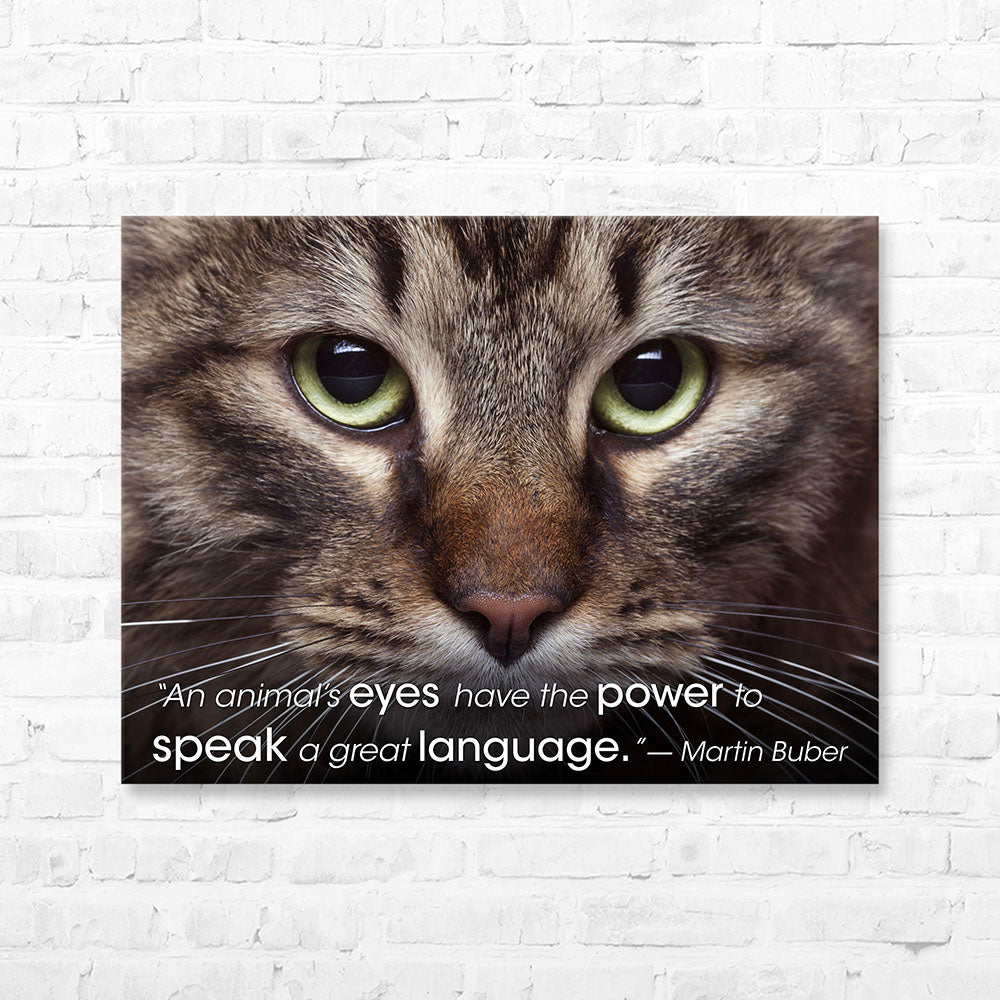 Pet Quote Canvas Wrap - “An animal’s eyes have the...