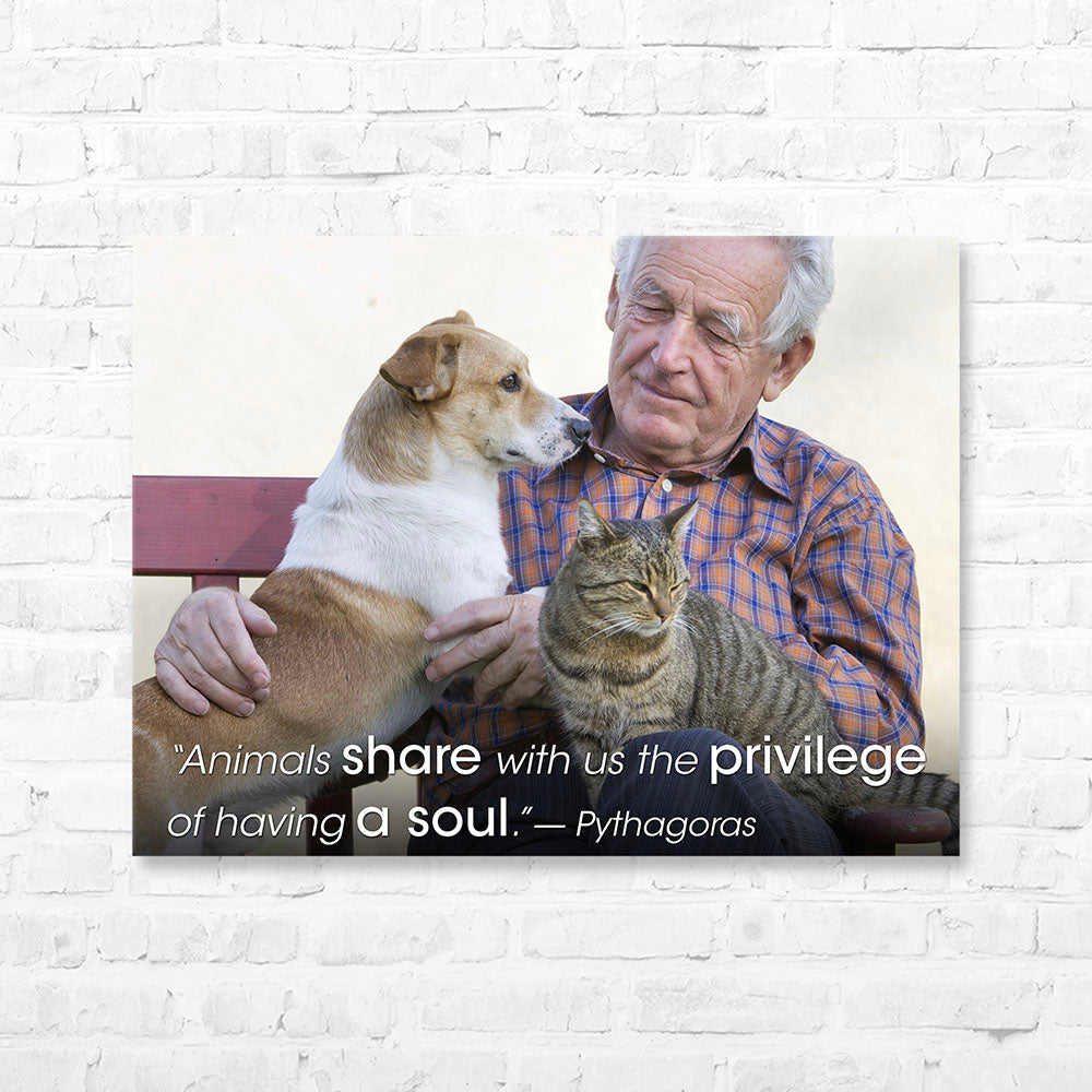 Pythagoras | Ronnie's Blog, image size:1000x1000