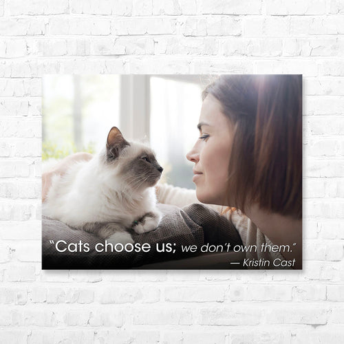 Cat Quote Canvas Wrap - “Cats choose us...
