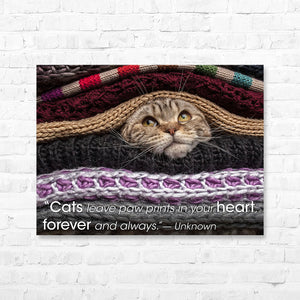Cat Quote Canvas Wrap - “Cats leave paw prints in...