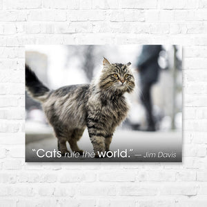 Cat Quote Canvas Wrap - “Cats rule the world.”— Jim Davis