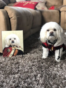 Duke E. Tout - Royalty & Renaissance Inspired Custom Pet Portrait Canvas
