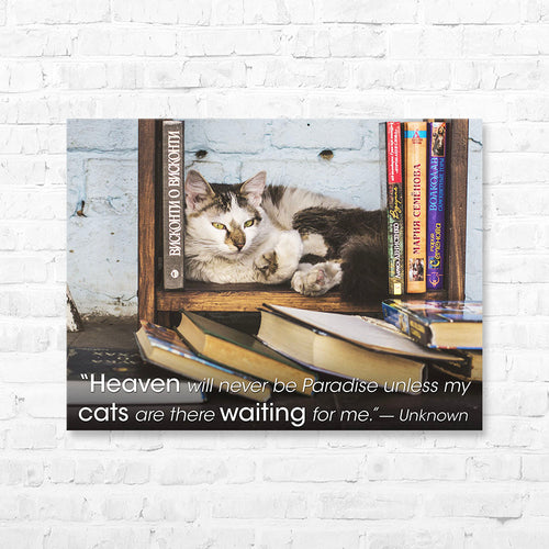 Cat Quote Canvas Wrap - “Heaven will never be Paradise...