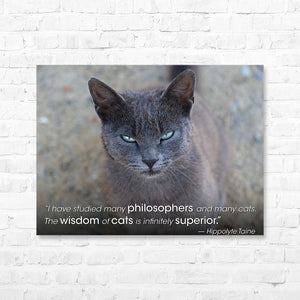 Cat Quote Canvas Wrap - “I have studied many...