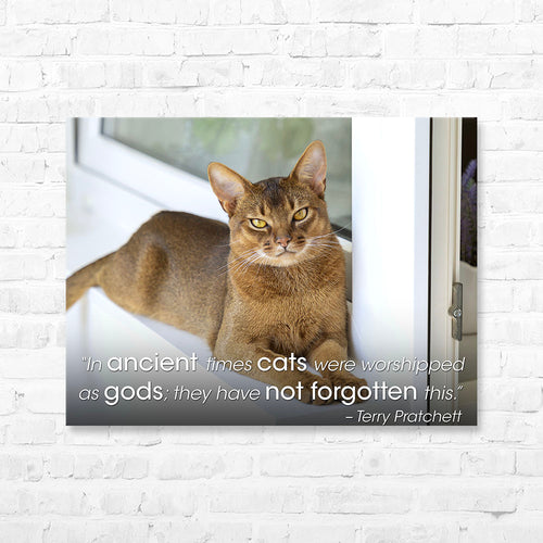 Cat Quote Canvas Wrap - “In ancient times cats were...