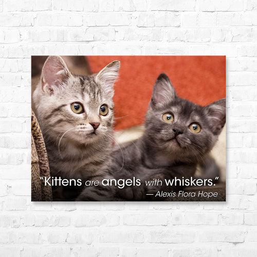Cat Quote Canvas Wrap - “Kittens are angels with...