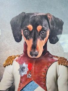Baron D. Zert - Renaissance Inspired Custom Pet Portrait Canvas