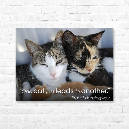 Cat Quote Canvas Wrap - “One cat just leads...
