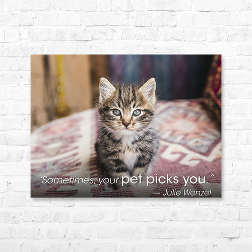 Pet Quote Canvas Wrap - “Sometimes, your pet picks...
