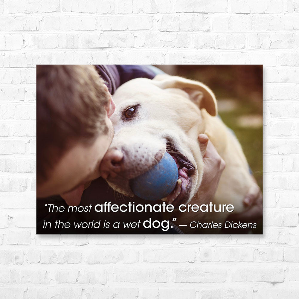 Dog Quote Canvas Wrap - “The most affectionate creature in the...