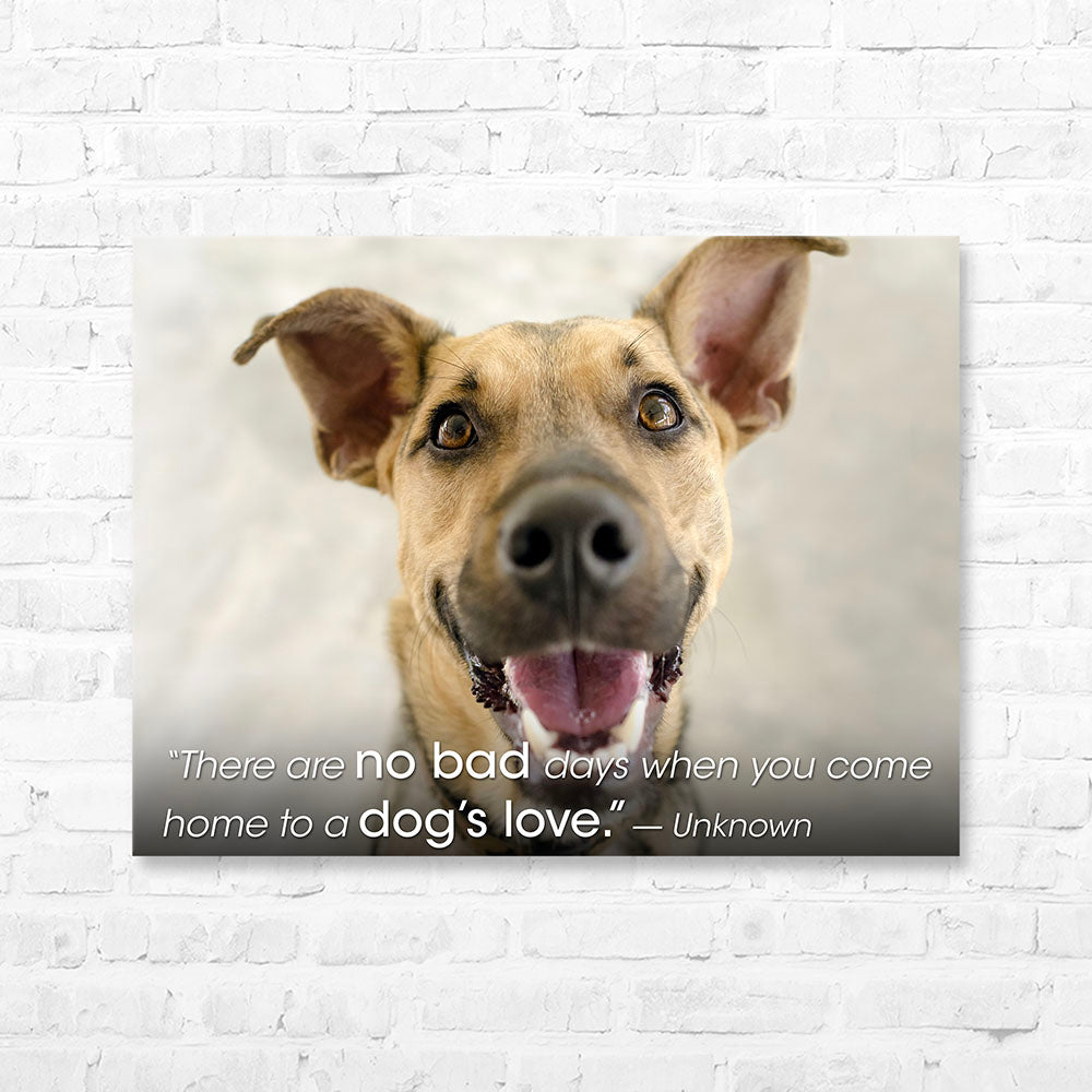 Dog Quote Canvas Wrap - “There are no bad days when you come...