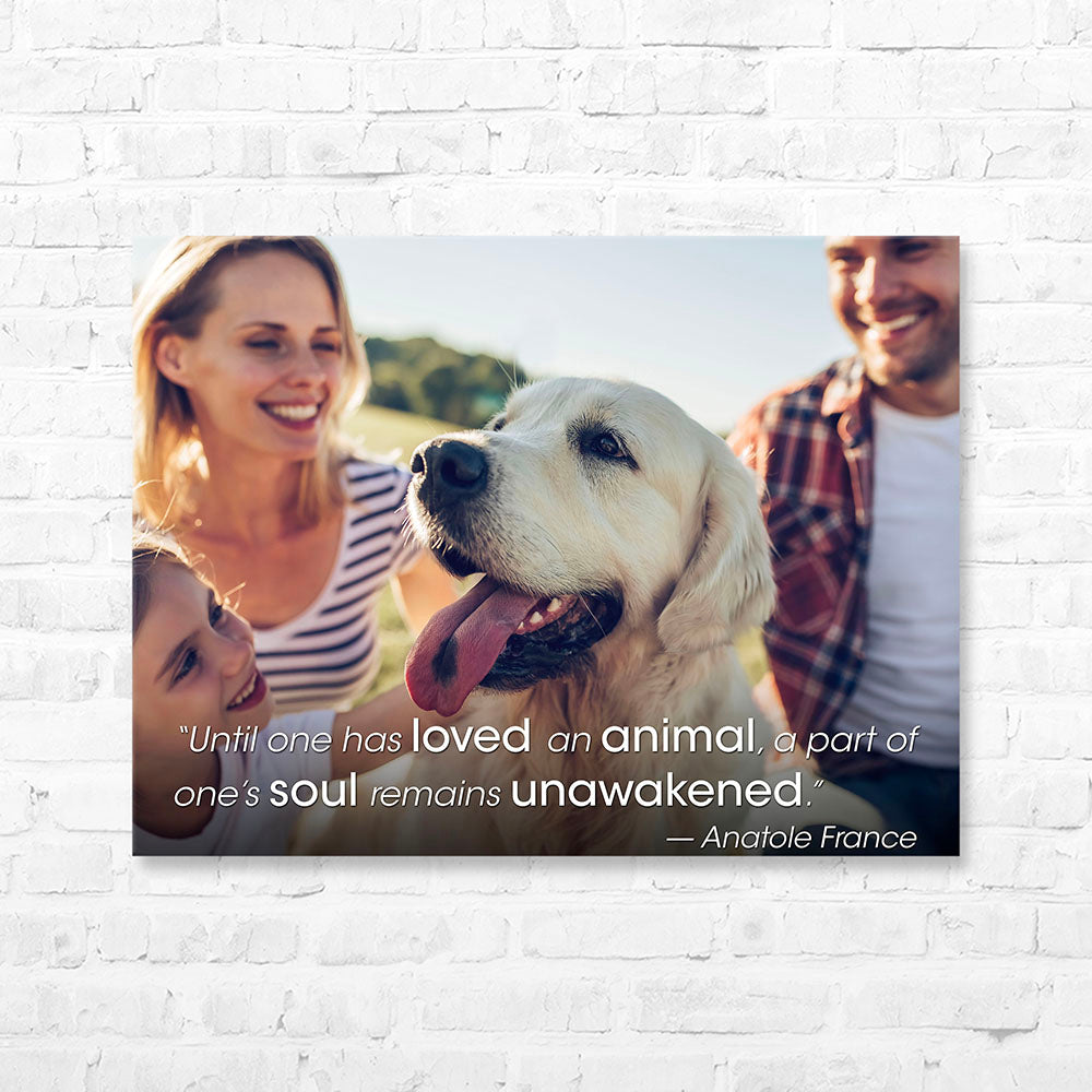 Pet Quote Canvas Wrap - “Until one has loved an animal...