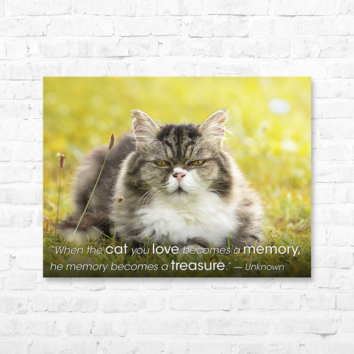 Cat Quote Canvas Wrap - “When the cat you...