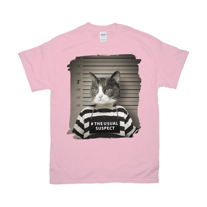 Apparel-DTG-Tshirt-Gildan-2000-XL-LightPink-Mens-CF-2025021000405086