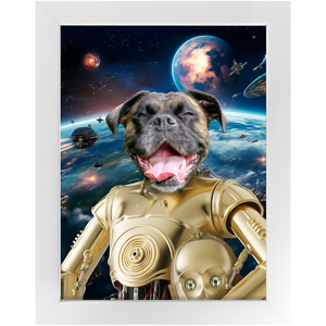 C.3.P.NO IN SPACE - C.3.P.O. & Star Wars Inspired Custom Pet Portrait Framed Satin Paper Print