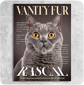 Vanity Fur Magazine Cover Featuring a Cat with imaginary article titles- Personalized Gift for Cat Owners