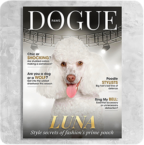 Dogue Magazine Cover Featuring a Dog with imaginary article titles- Personalized Gift for Dog Owners
