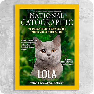 National Catographic Magazine Cover Featuring a Cat with imaginary article titles- Custom Gift for Cat Owners