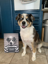 Load image into Gallery viewer, The Usual Suspect - Gangster Mugshot Inspired Custom Pet Portrait Canvas