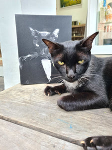 The Dogfather - Godfather, Gangster & Mafia Inspired Custom Pet Portrait Canvas