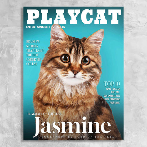 Playcat Magazine Cover Featuring a Cat with imaginary article titles- Personalized Gift for Cat Owners