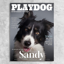 Load image into Gallery viewer, Playdog Magazine Cover Featuring a Dog with imaginary article titles- Personalized Gift for Dog Owners