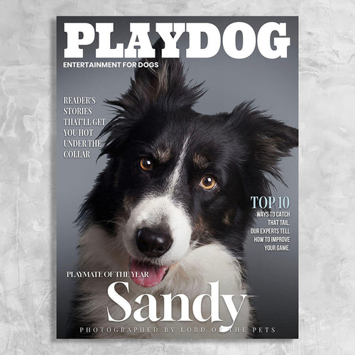 Playdog Magazine Cover Featuring a Dog with imaginary article titles- Personalized Gift for Dog Owners