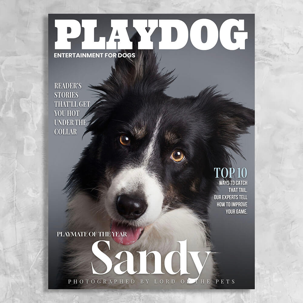 Playdog - Personalized Dog Magazine Cover Canvas Print – Lord Of The Pets